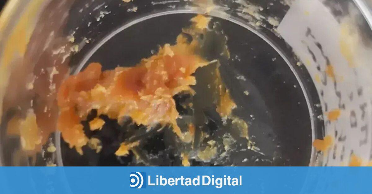 Este es un Libertad digital en los últimos 2500 años